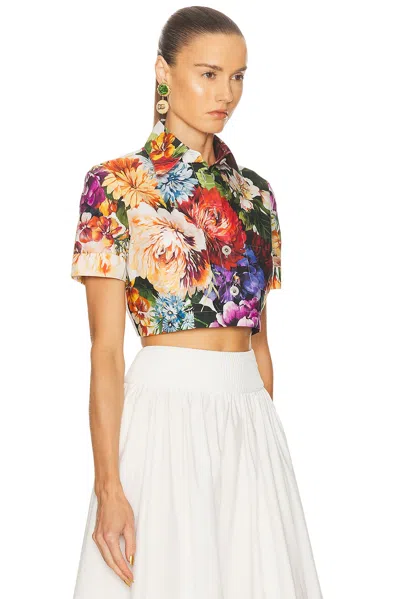 Dolce & Gabbana Shirt In Multi