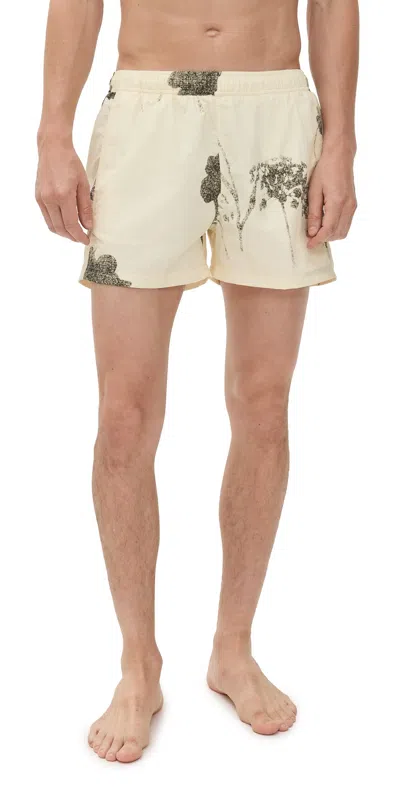 Auto-reply™ Printed Sebastian Swim Trunks 4 Beach Brush/natural