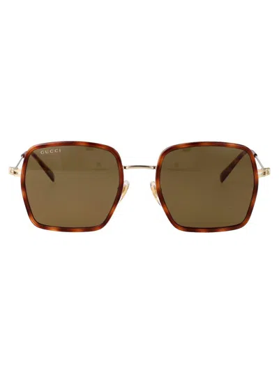Gucci Havana-gold-brown Acetate Sunglasses In Brown
