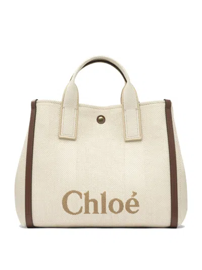 Chloé Chloe Carry Shoulder Bag Women In Multi