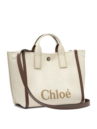 Chloé Chloe Carry Shoulder Bag Women In Multi