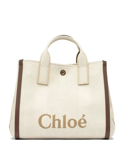 Chloé Chloe Carry Shoulder Bag Women In Multi
