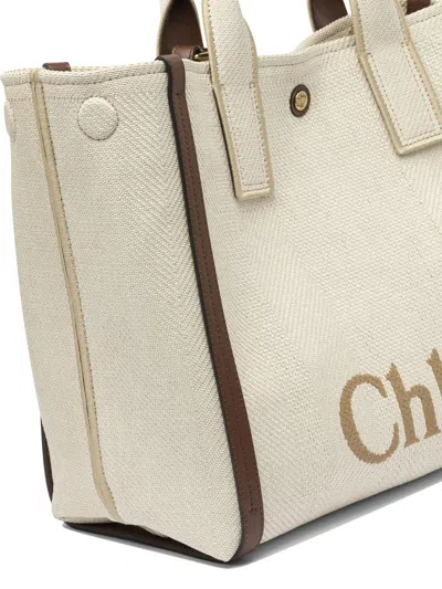 Chloé Chloe Carry Shoulder Bag Women In Multi