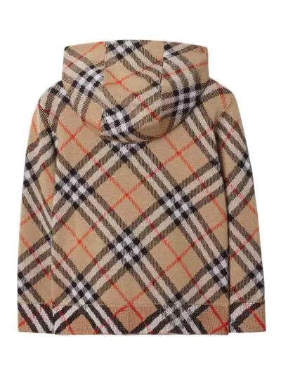 Burberry Check Pattern Zipped Hoodie In Brown