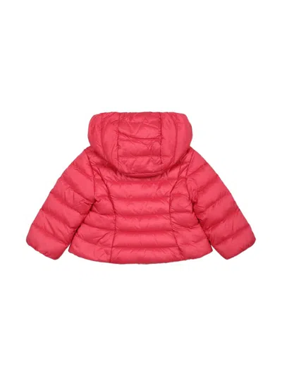 Moncler Genius Chaqueta Alcochada - Rosado In Pink