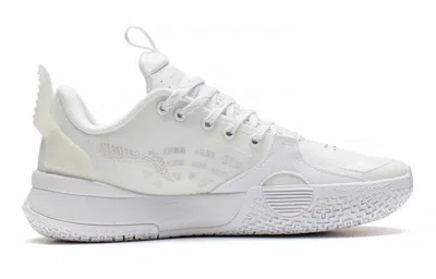 Li-ning (gs)  Wade All City 10 V2 'dreamer'