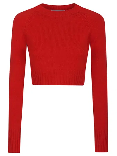 Sportmax Fragola Maglia-canottiera-top In Red