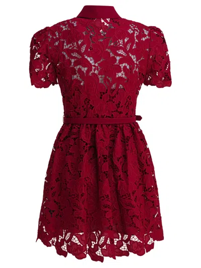 Self-portrait Womens Embroidered Collared Lace Mini Dress Burgundy
