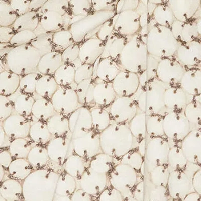 Isabel Marant Nayda T-shirt