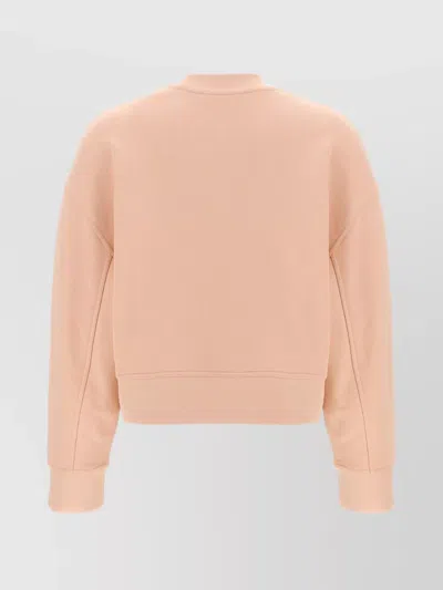 Moncler Crew Neck Embroidered Sweatshirt In Neutral