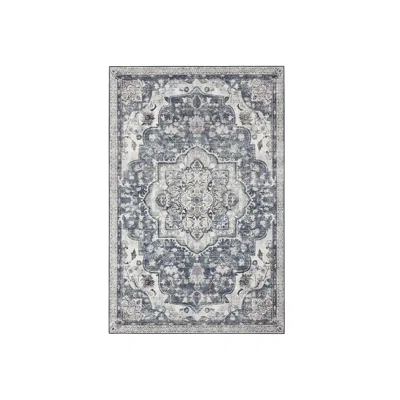 Breebe 2'w X 3'l Area Rug, Traditional Vintage Style - Dove Gray In Blue