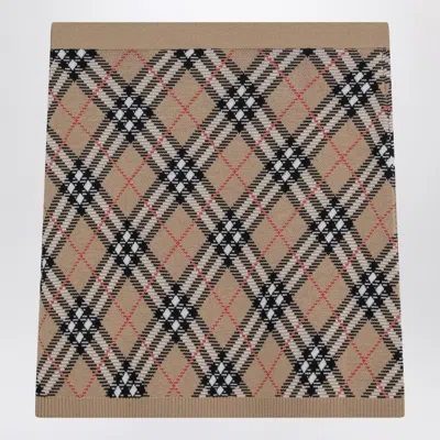 Burberry Check Mini Skirt With Wool And Mohair Blend In Brown