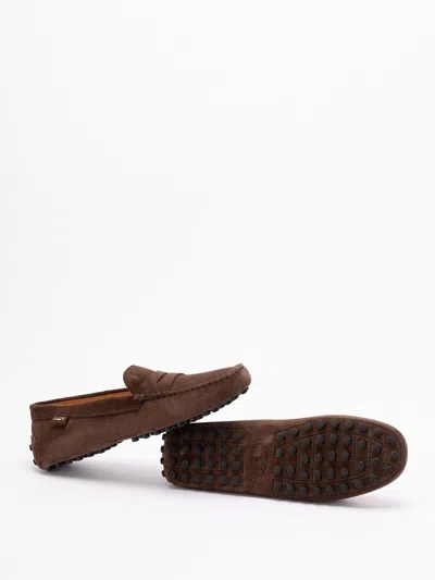 Tod's Women `gommino` Driving Shoes In Suede