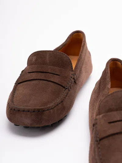 Tod's Women `gommino` Driving Shoes In Suede