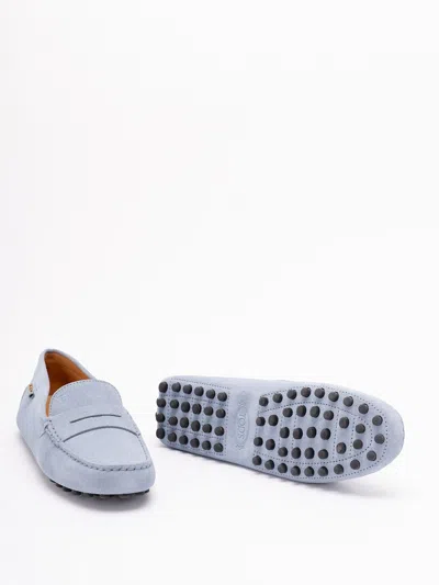 Tod's Women `gommino` Driving Shoes In Suede
