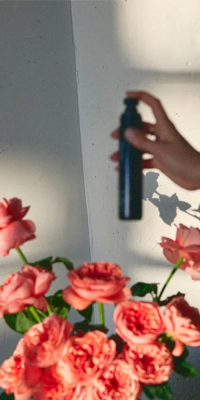 Homecourt Cipres Mint Room Deodorant In Black