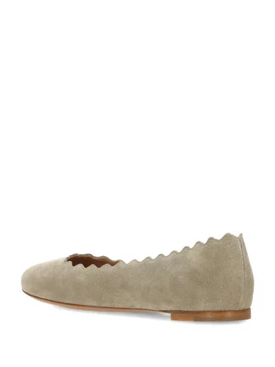 Chloé Chloè Flat Shoes In Brown