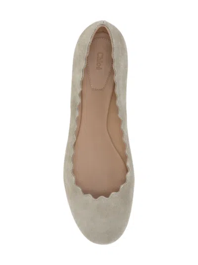 Chloé Chloè Flat Shoes In Brown
