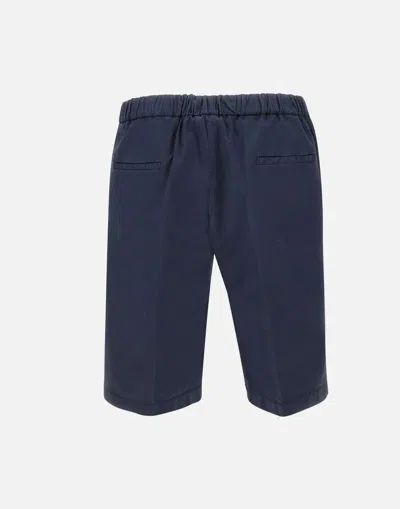 Devore Pleated Shorts In Blue