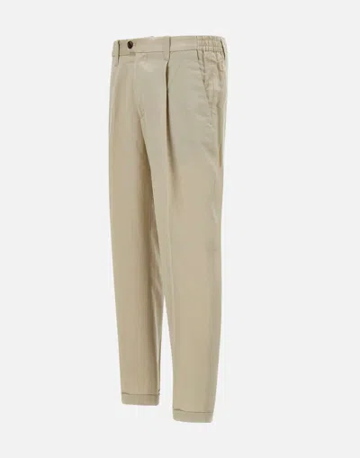 Devore Pleated-front Trousers In Neutral