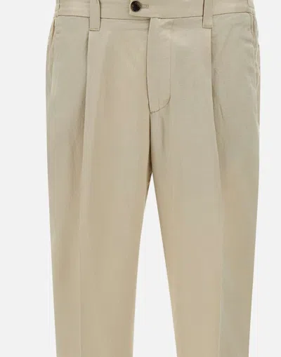 Devore Pleated-front Trousers In Neutral