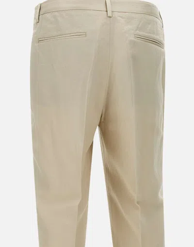 Devore Pleated-front Trousers In Neutral