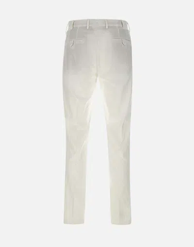 Devore Pleated Trousers In Gray