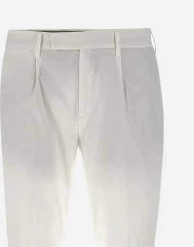 Devore Pleated Trousers In Gray