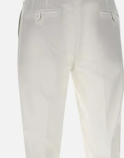 Devore Pleated Trousers In Gray