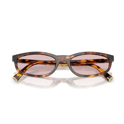 Miu Miu Womens Brown Mu A06s Oval-frame Acetate Sunglasses