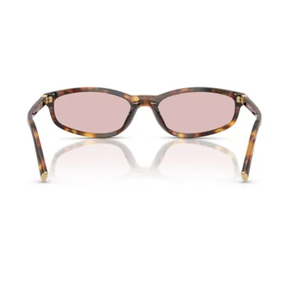Miu Miu Womens Brown Mu A06s Oval-frame Acetate Sunglasses