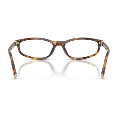 Miu Miu A06s Eyeglasses In Brown