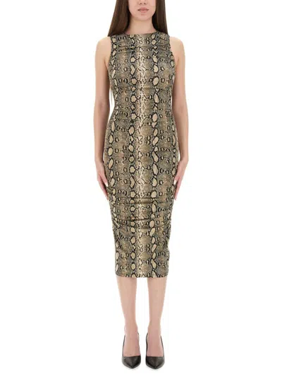 Michael Kors Snake Print Sleeveless Midi Dress In Green