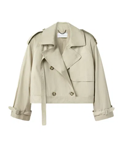 Stella Mccartney Cropped Belt Detail Trench Jacket In Gray