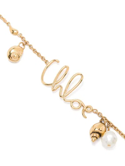 Chloé The Shells Necklace Accessories In Multi