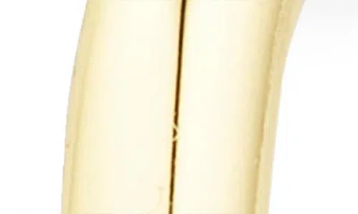 Argento Vivo Hoop Earrings