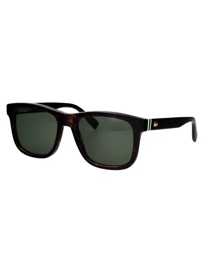 Lacoste L6014s 230 In Black