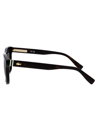 Lacoste L6014s 230 In Black