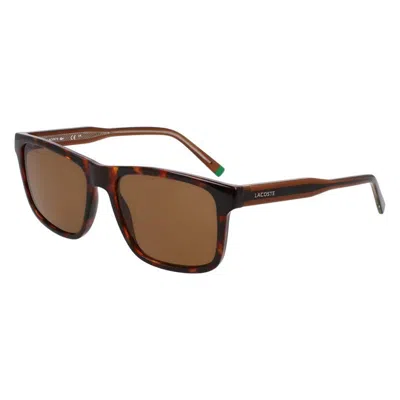Lacoste L6025s 219 In Brown