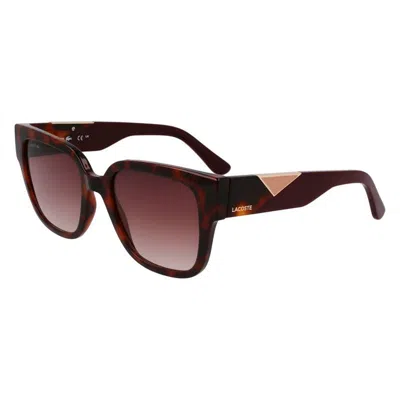 Lacoste Tortoiseshell Square Sunglasses In Black