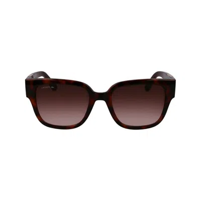 Lacoste Tortoiseshell Square Sunglasses In Black