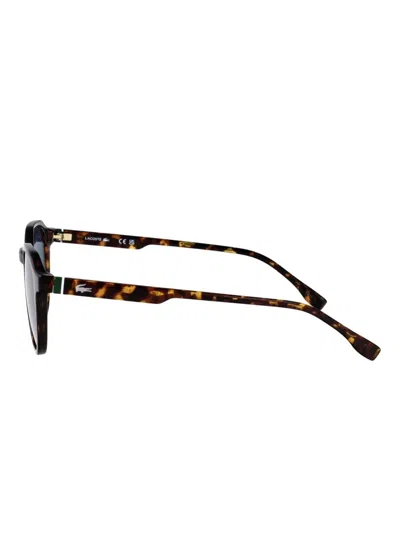 Lacoste L6052s 214 In Brown