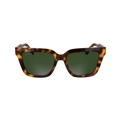 Lacoste L6063s 214 In Brown
