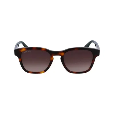 Lacoste L986s 240 In Brown