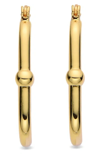 Eye Candy Los Angeles Lisa Hoop Earrings