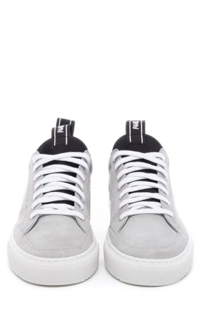 P448 Soho Socks Low Top Sneaker