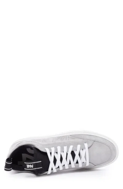 P448 Soho Socks Low Top Sneaker