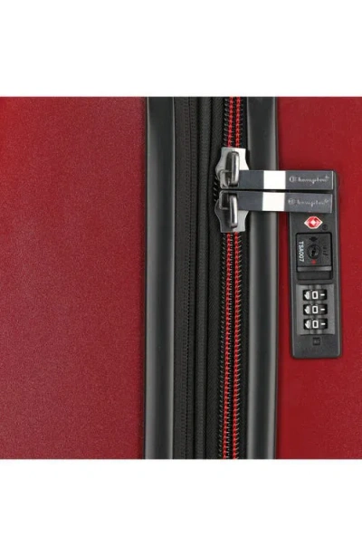 Champion 3-piece Trailblazer Spinner Luggage Set