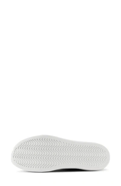 Allbirds Piper 2 Canvas Sneaker