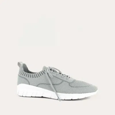 Naot Women's Galaxy Sneaker In Grey